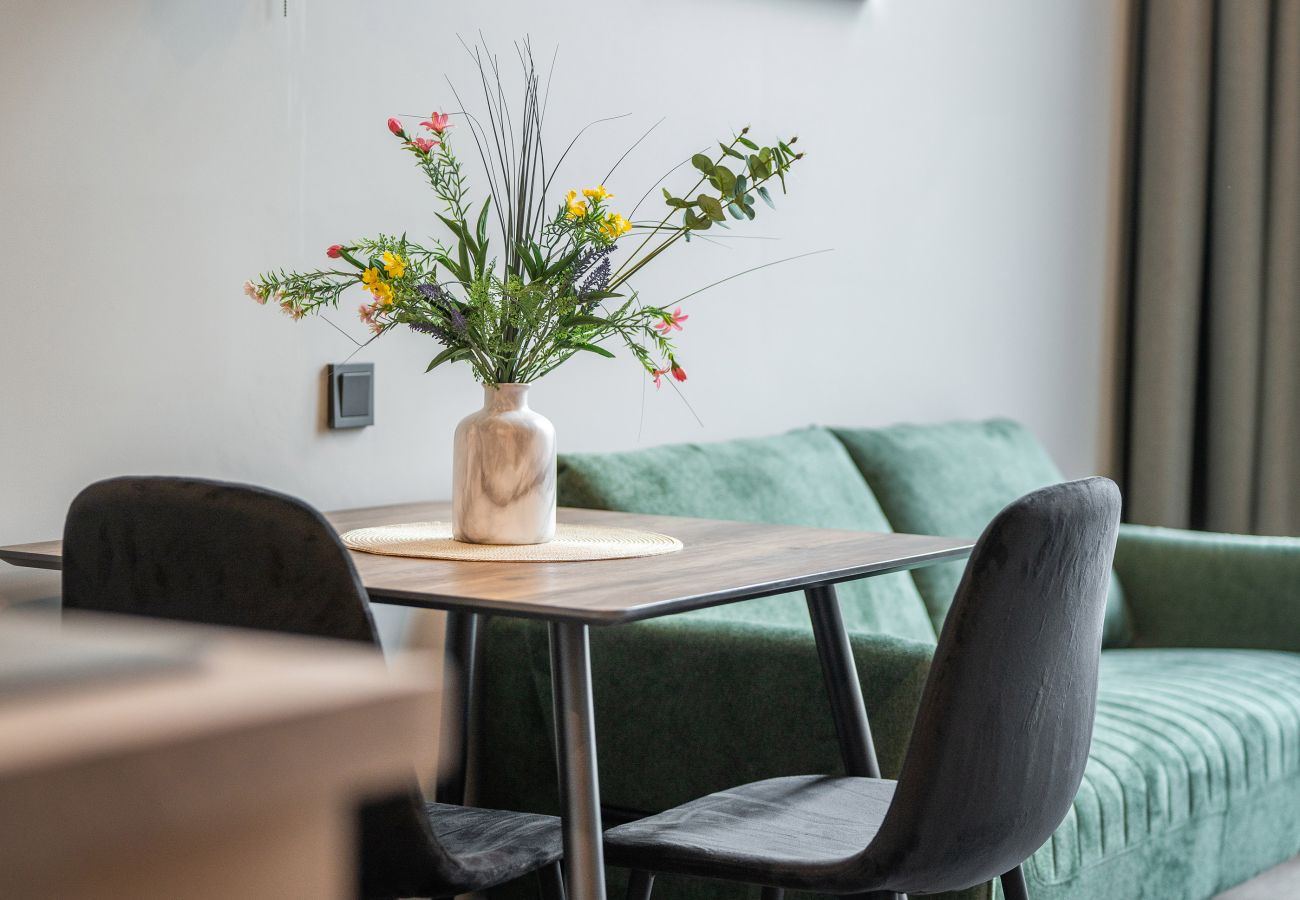 Studioleilighet i Vilnius - Brand New Urban Loft 47
