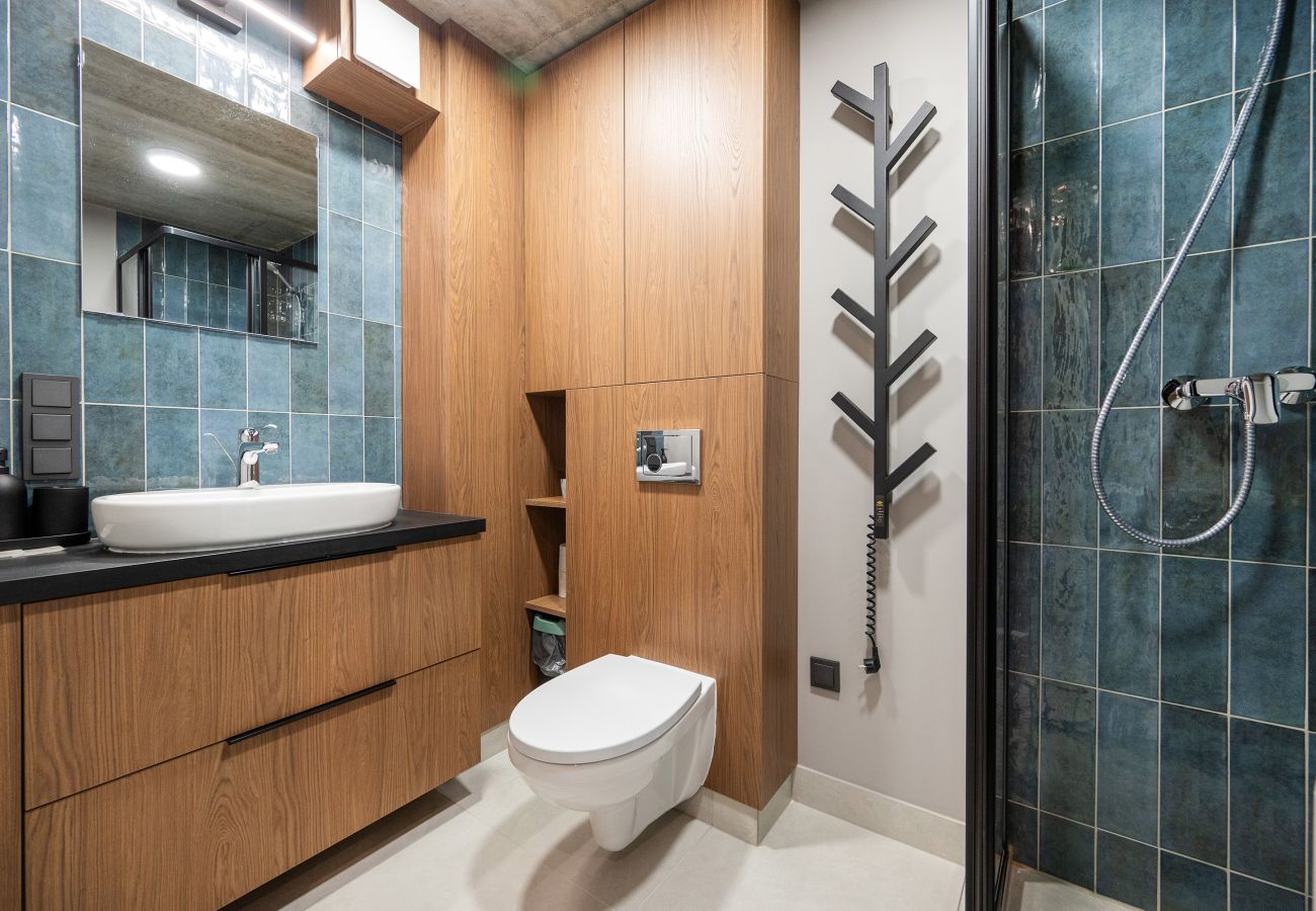 Studioleilighet i Vilnius - Brand New Urban Loft 47