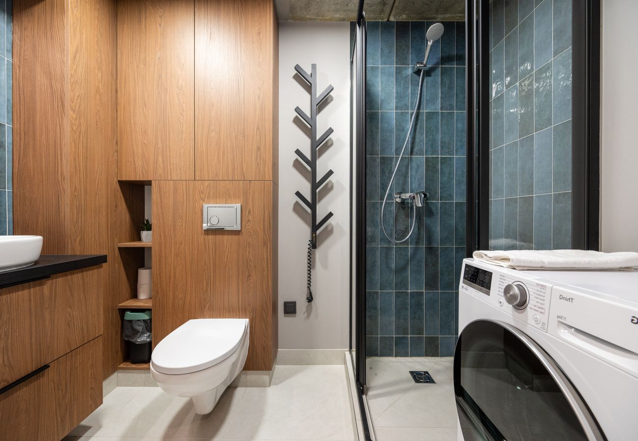Studioleilighet i Vilnius - Brand New Urban Loft 47