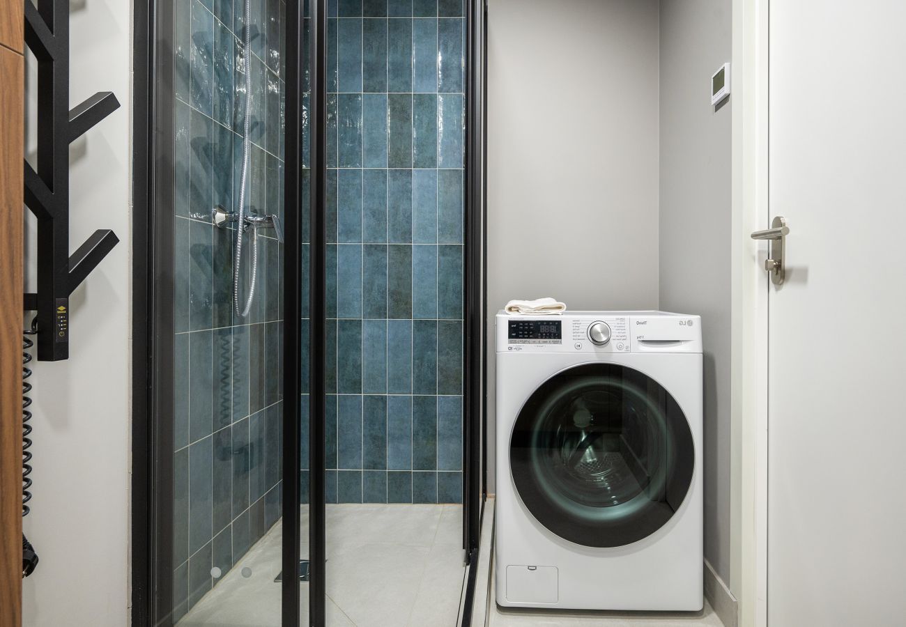 Studioleilighet i Vilnius - Brand New Urban Loft 47