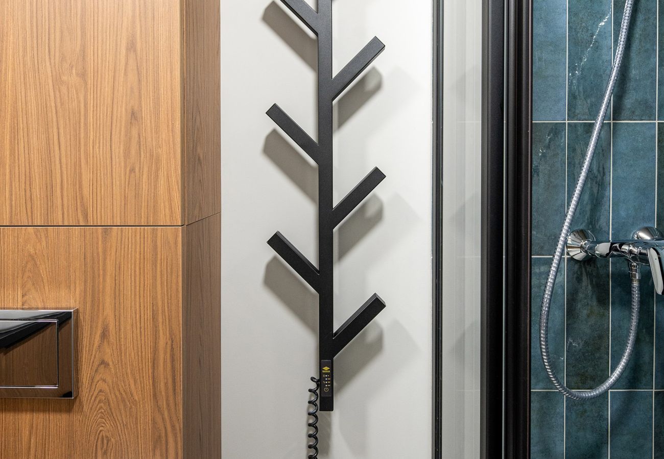 Studioleilighet i Vilnius - Brand New Urban Loft 47