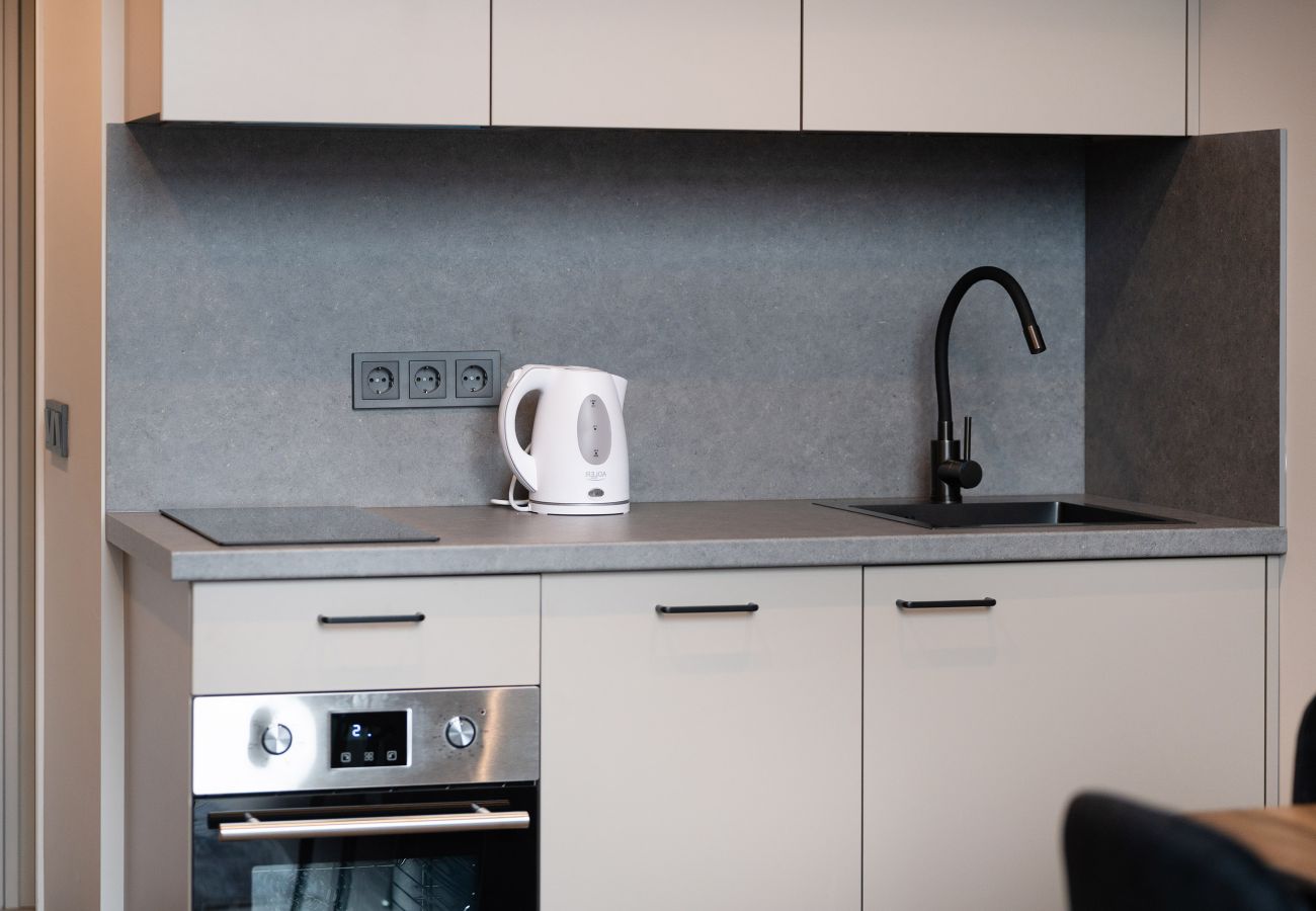 Studioleilighet i Vilnius - Brand New Urban Loft 47