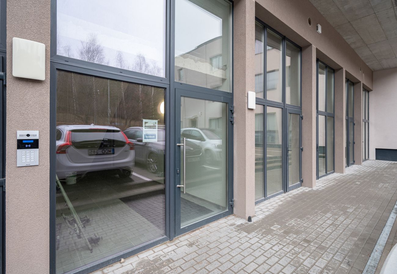 Studioleilighet i Vilnius - Brand New Urban Loft 47