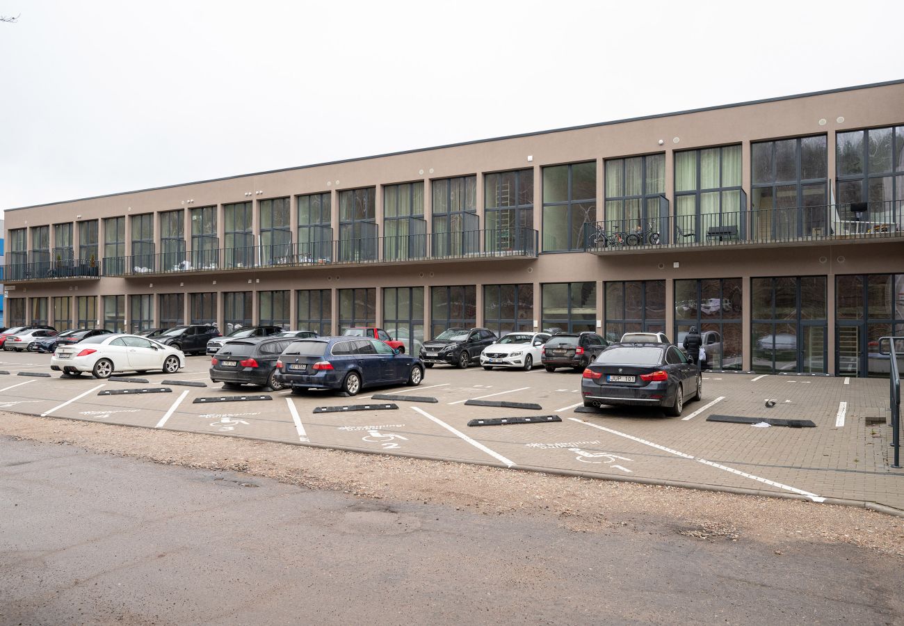 Studioleilighet i Vilnius - Brand New Urban Loft 47