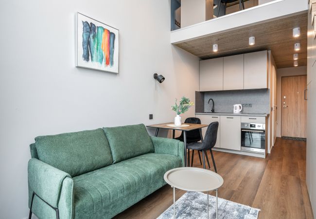 Studioleilighet i Vilnius - Brand New Urban Loft 48