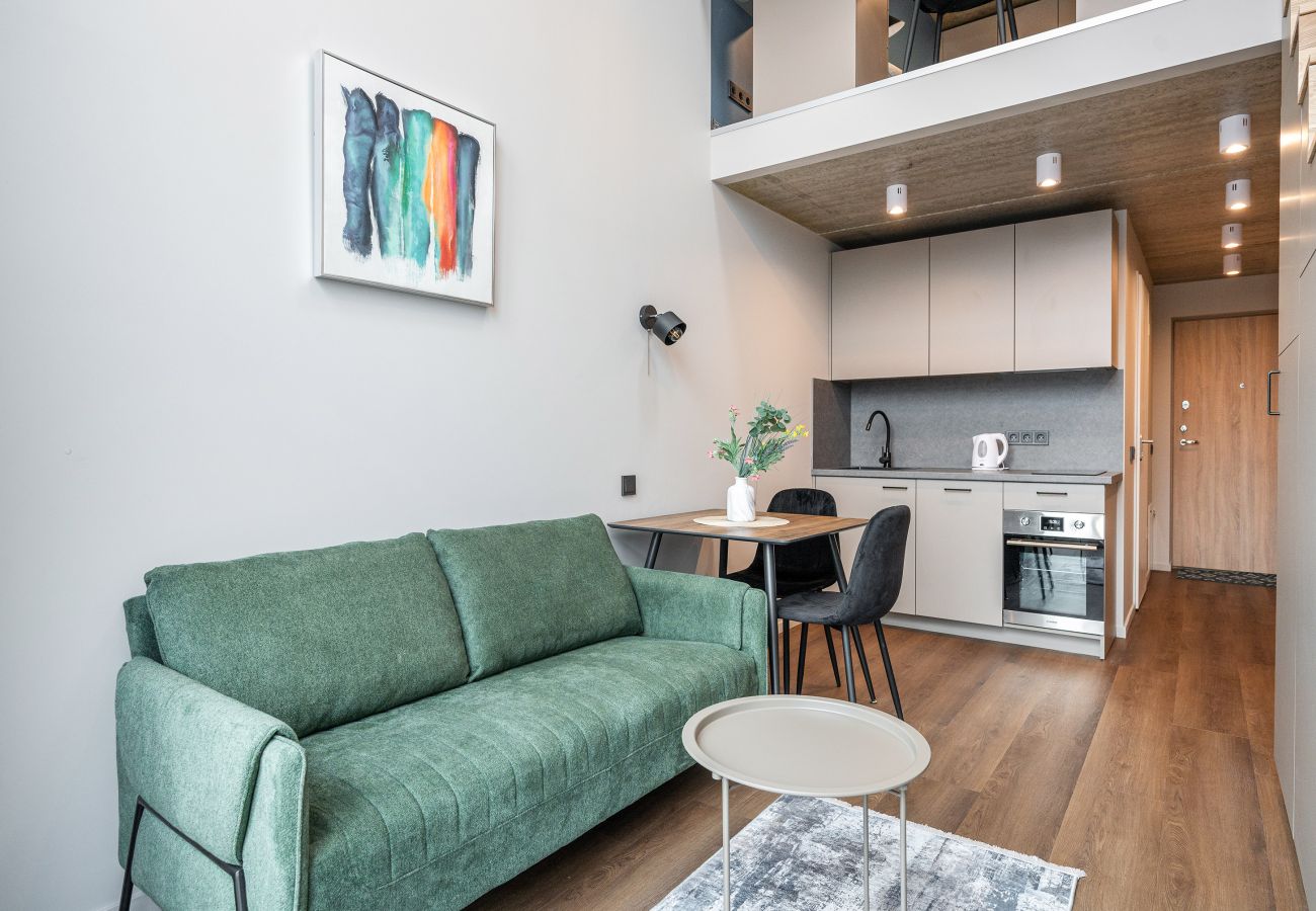 Studioleilighet i Vilnius - Brand New Urban Loft 48