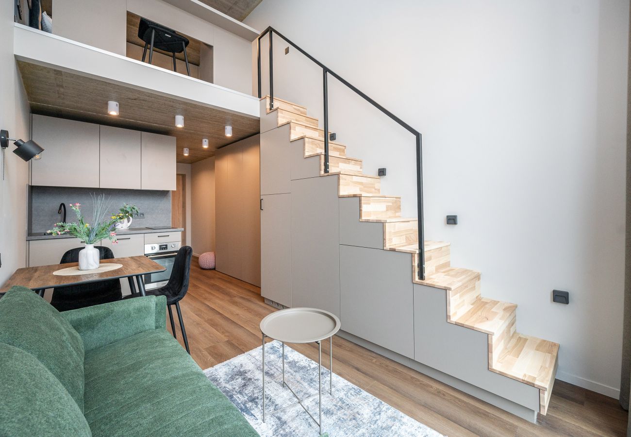 Studioleilighet i Vilnius - Brand New Urban Loft 48