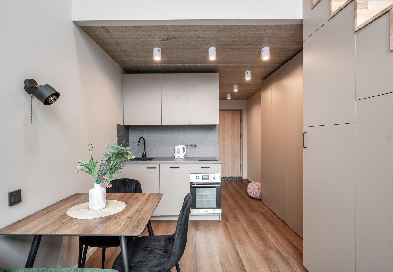 Studioleilighet i Vilnius - Brand New Urban Loft 48