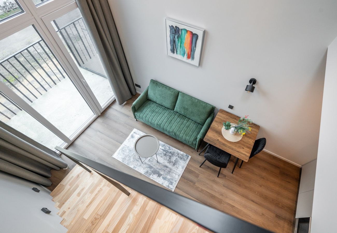 Studioleilighet i Vilnius - Brand New Urban Loft 48