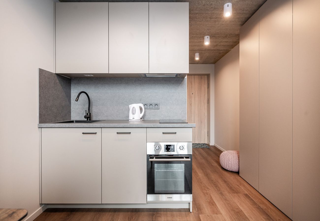 Studioleilighet i Vilnius - Brand New Urban Loft 48