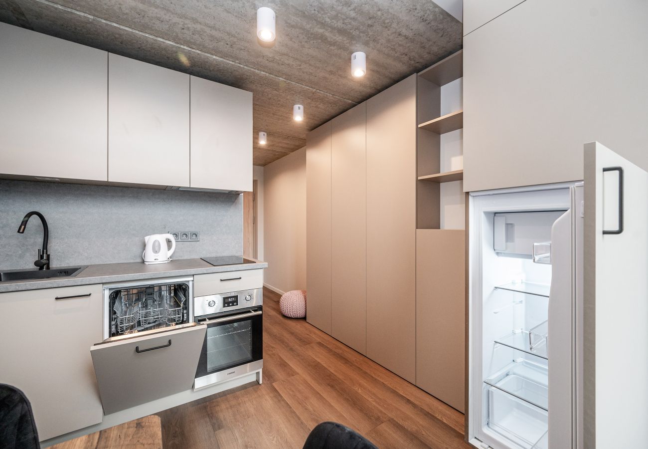 Studioleilighet i Vilnius - Brand New Urban Loft 48