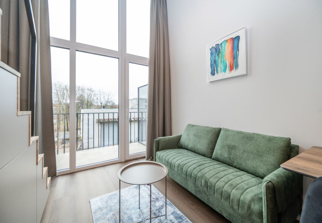 Studioleilighet i Vilnius - Brand New Urban Loft 48