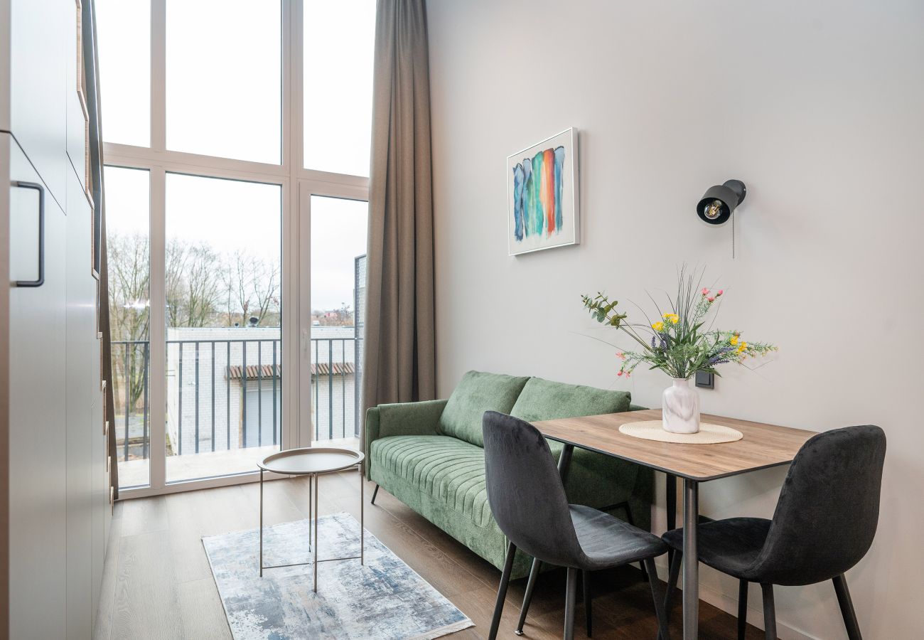 Studioleilighet i Vilnius - Brand New Urban Loft 48