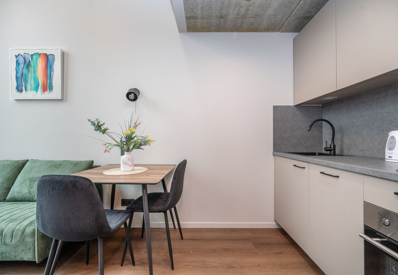 Studioleilighet i Vilnius - Brand New Urban Loft 48