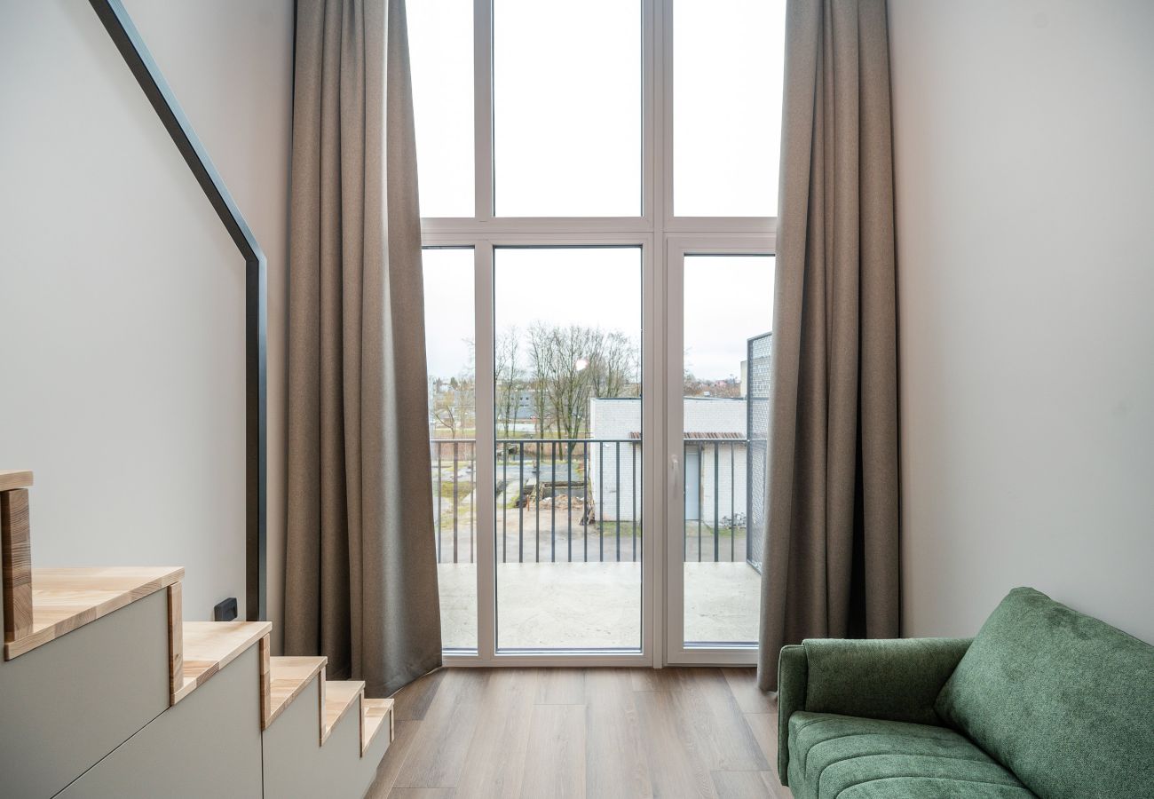 Studioleilighet i Vilnius - Brand New Urban Loft 48