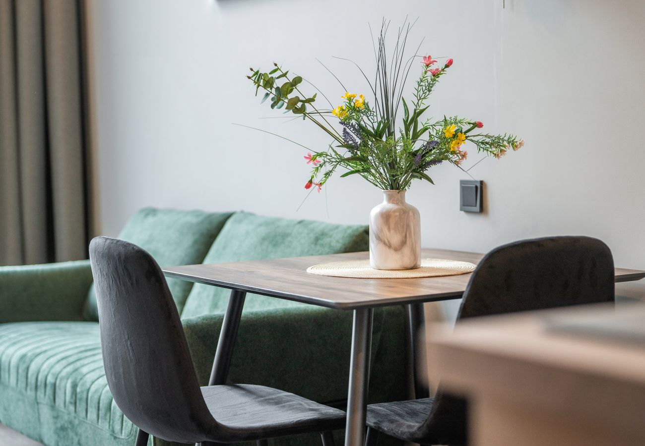 Studioleilighet i Vilnius - Brand New Urban Loft 48