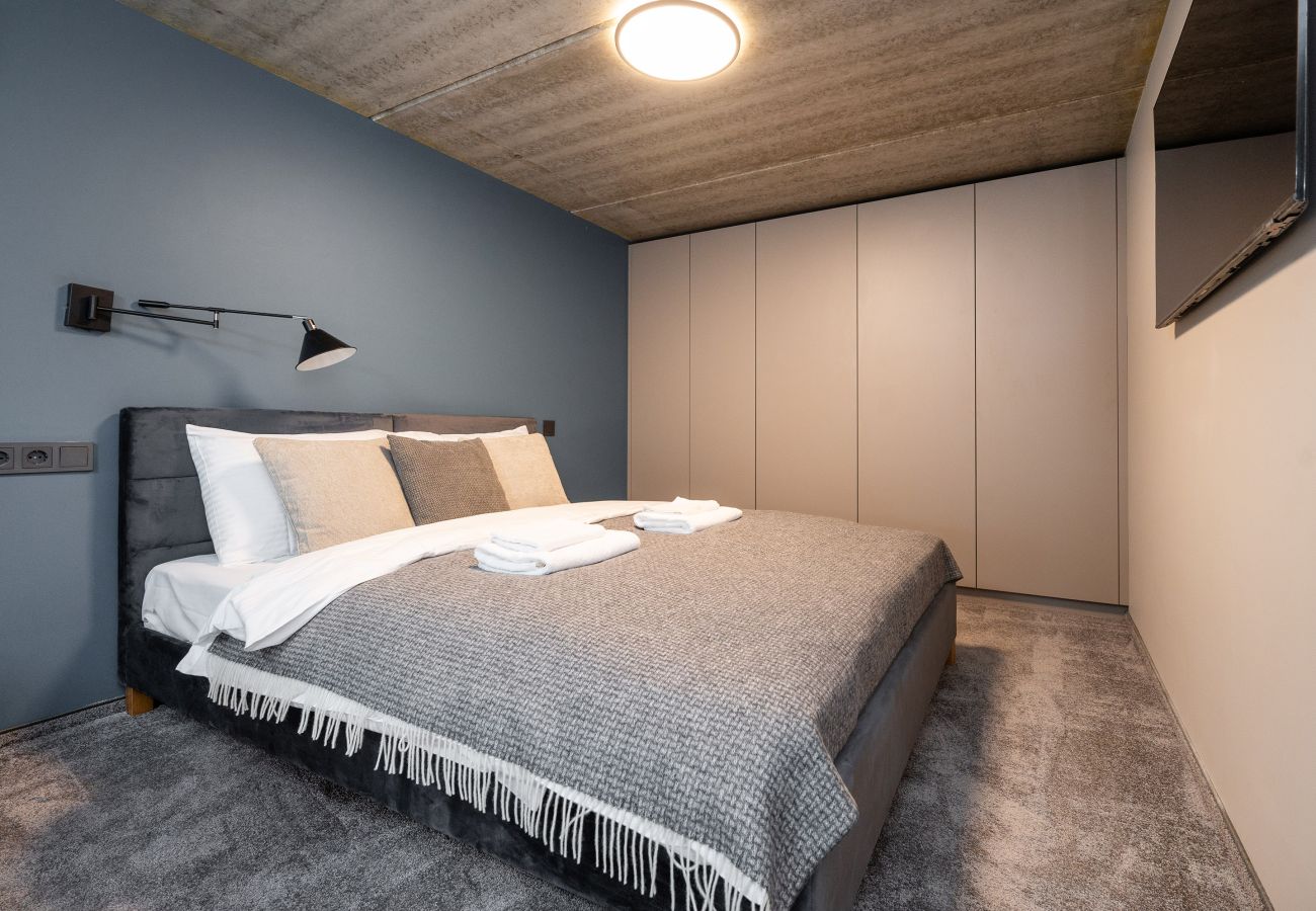 Studioleilighet i Vilnius - Brand New Urban Loft 48
