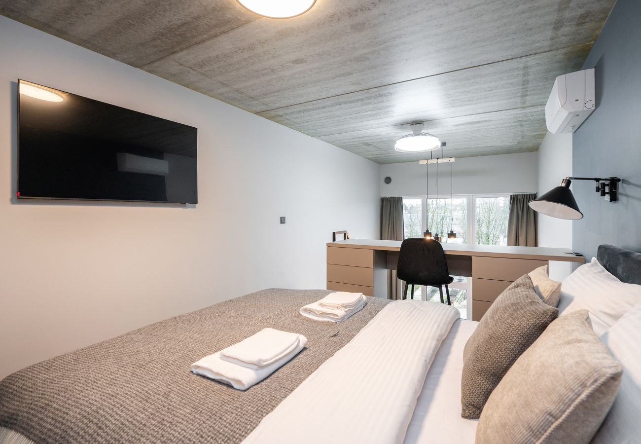 Studioleilighet i Vilnius - Brand New Urban Loft 48