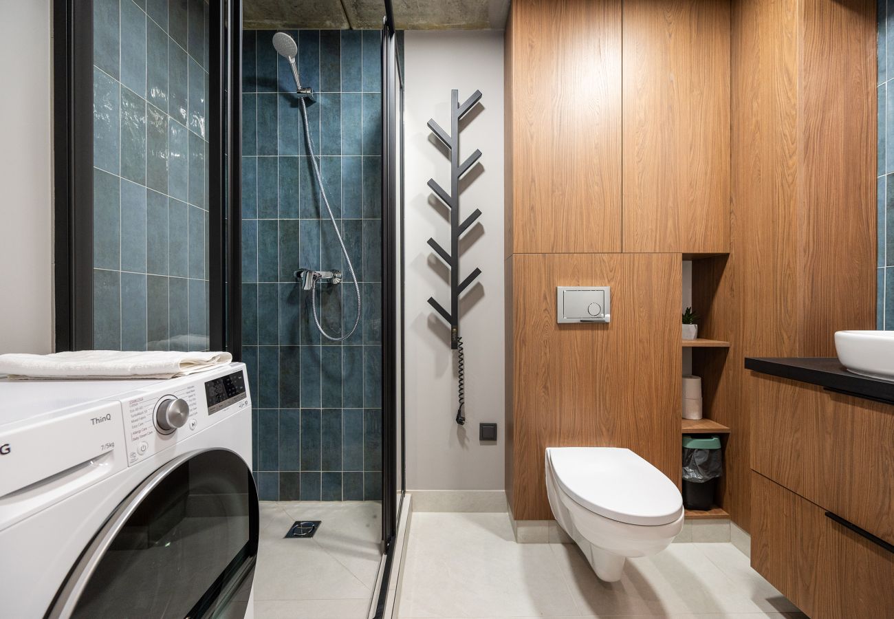 Studioleilighet i Vilnius - Brand New Urban Loft 48