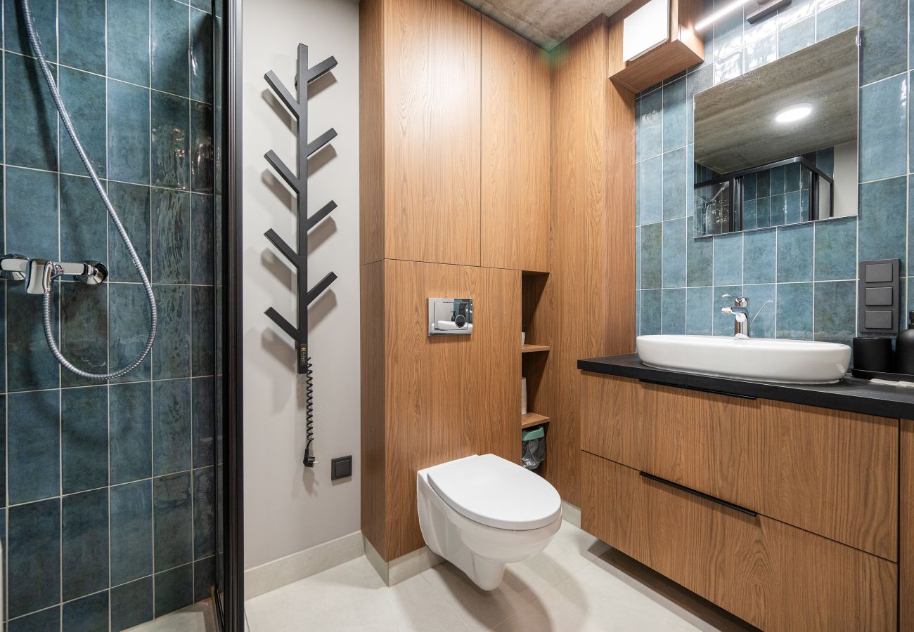 Studioleilighet i Vilnius - Brand New Urban Loft 48