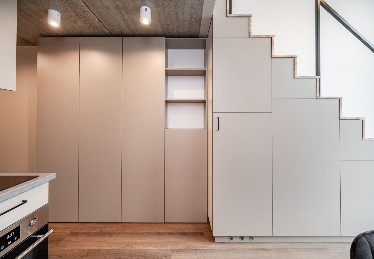 Studioleilighet i Vilnius - Brand New Urban Loft 48