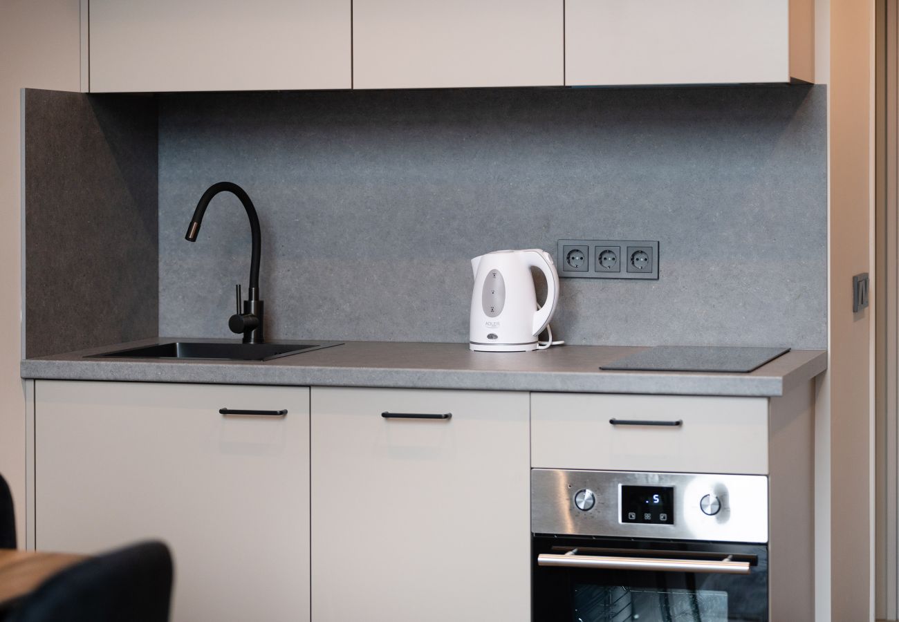 Studioleilighet i Vilnius - Brand New Urban Loft 48