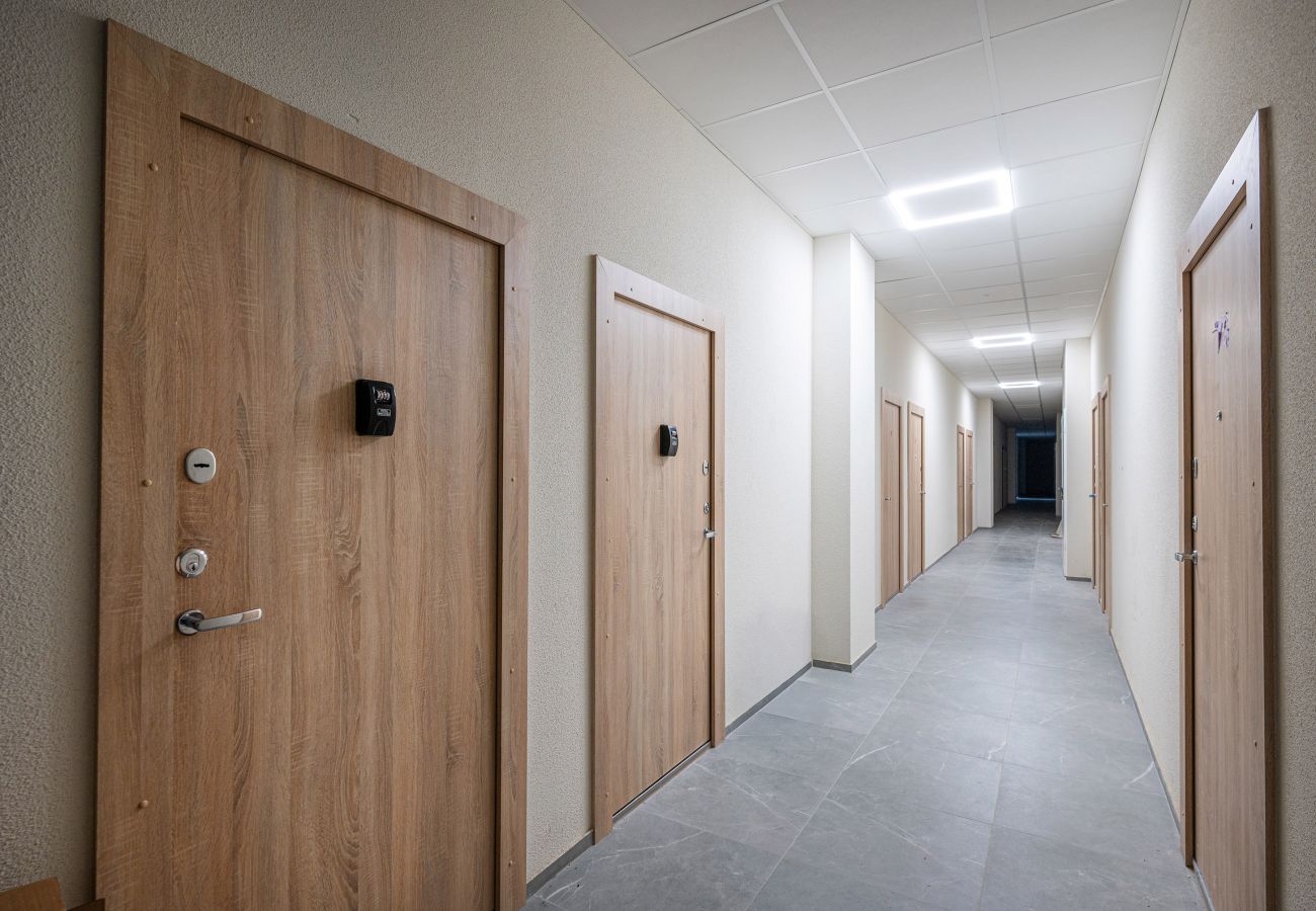 Studioleilighet i Vilnius - Brand New Urban Loft 48