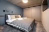 Studioleilighet i Vilnius - Brand New Urban Loft 48
