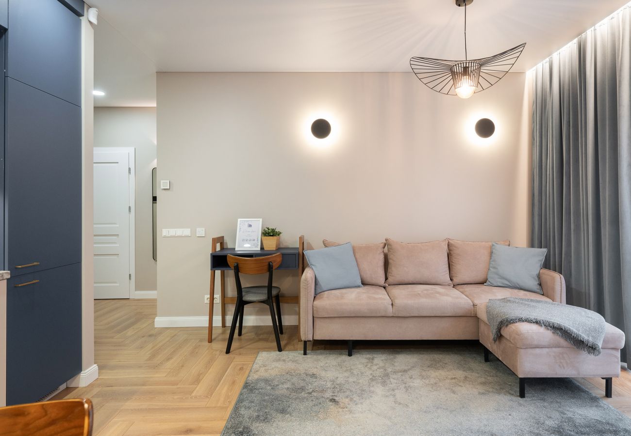 Leilighet i Vilnius - Serenity Space in Vilnius