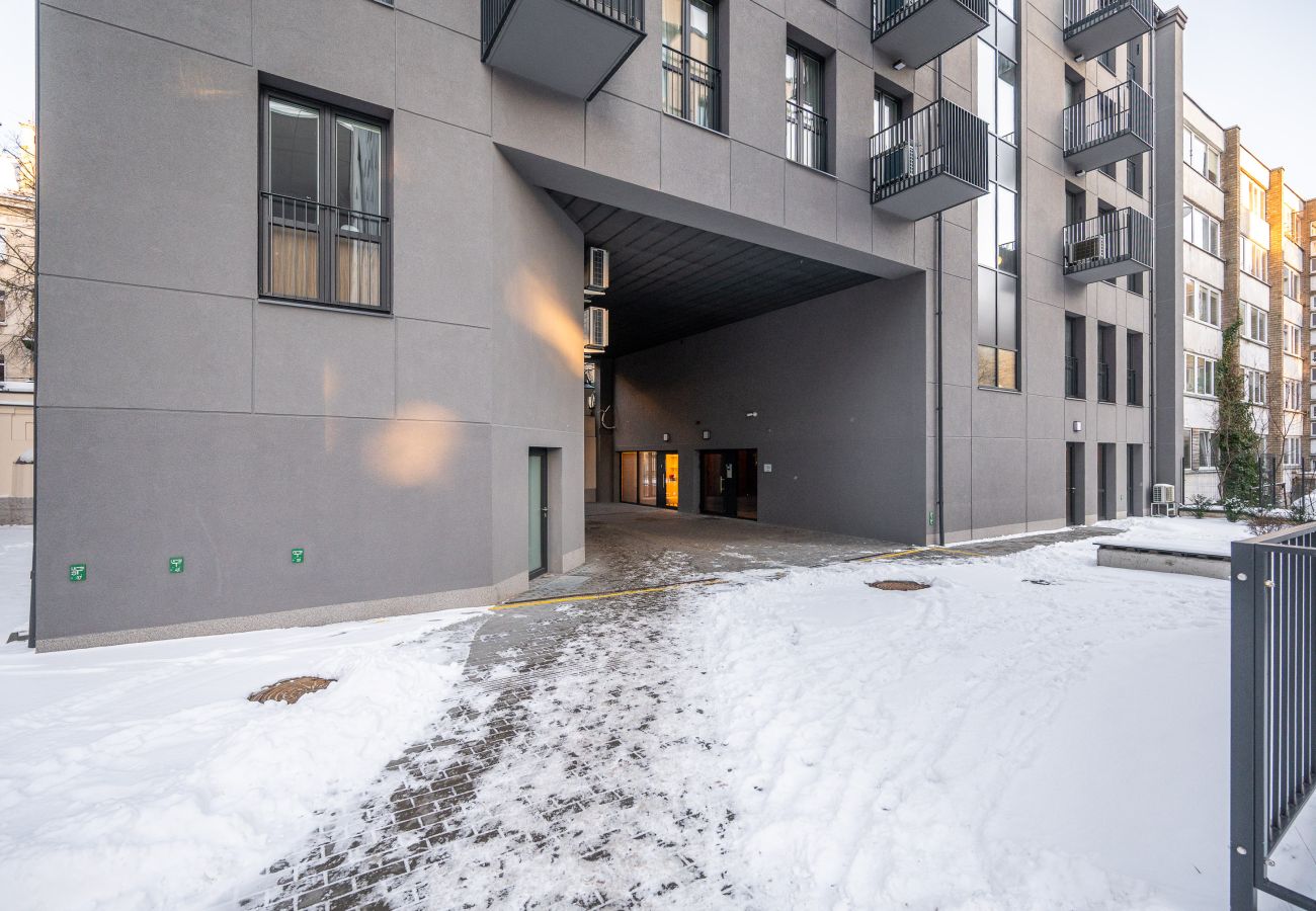 Leilighet i Vilnius - Brand New Downtown Apartment 3