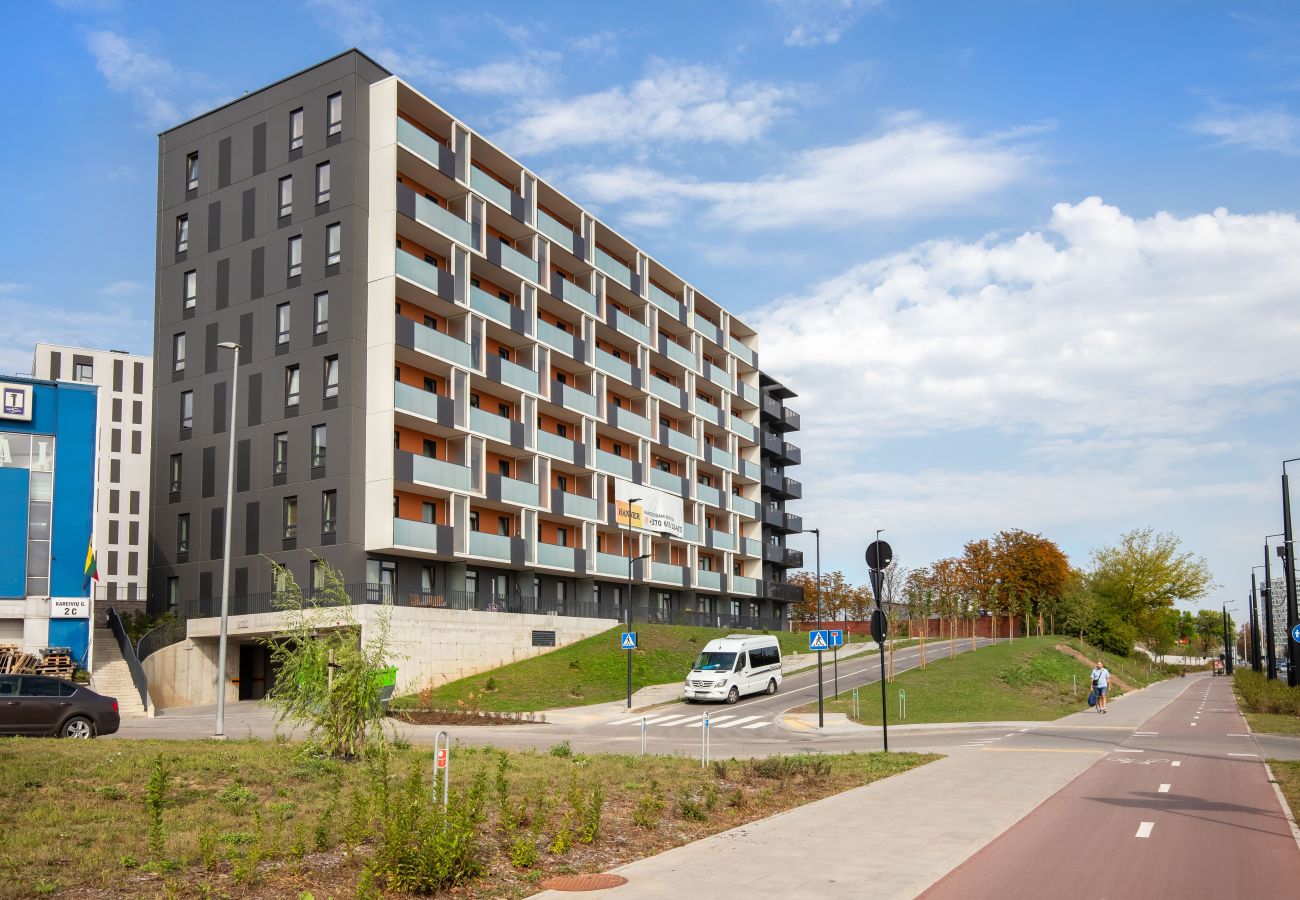 Leilighet i Vilnius - Stylish Simplicity-1BDR Stay in Vilnius