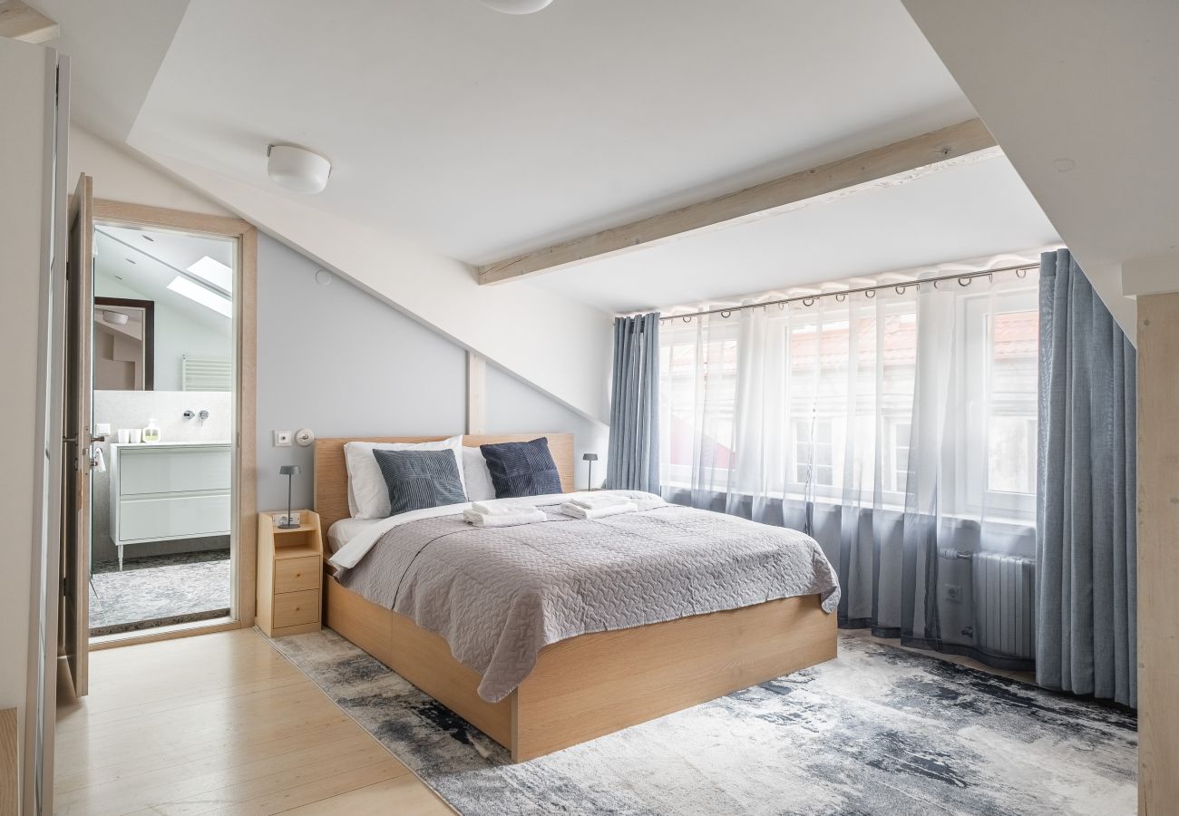Leilighet i Vilnius - Cathedral Square 2 Bedroom Apartment