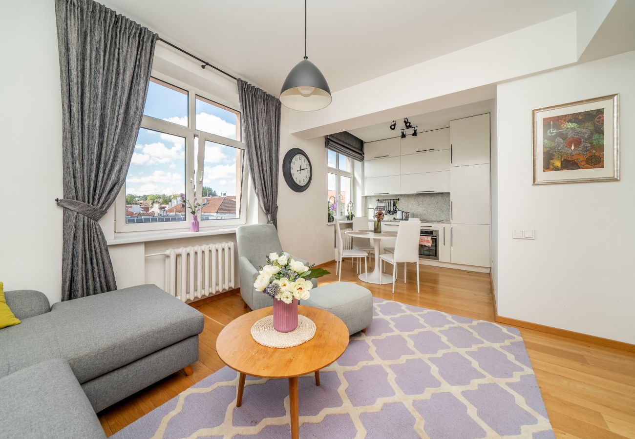 Leilighet i Vilnius - Homey Old Town 1 Bedroom Apartment