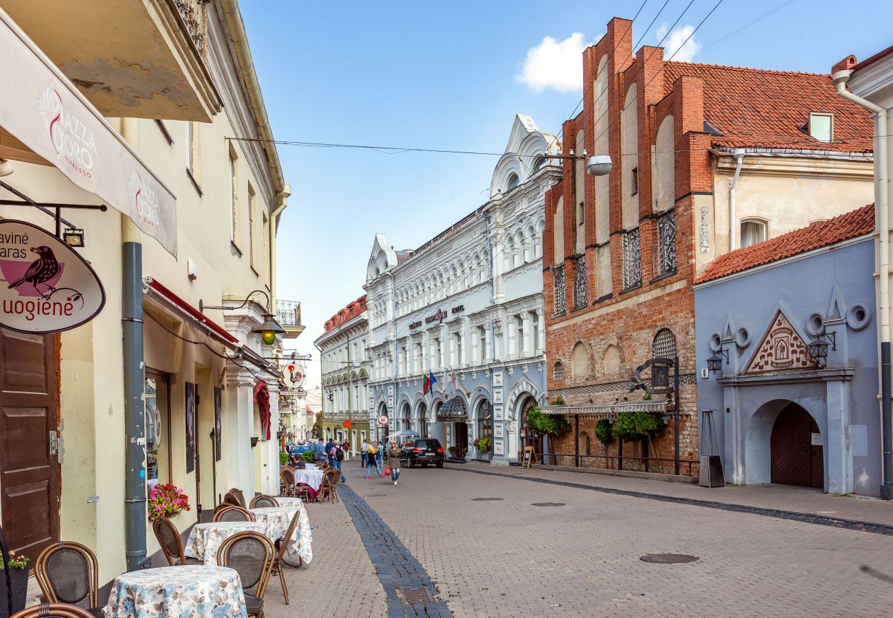 Ferienwohnung in Vilnius - Classic Old Town 1 Bedroom Apartment
