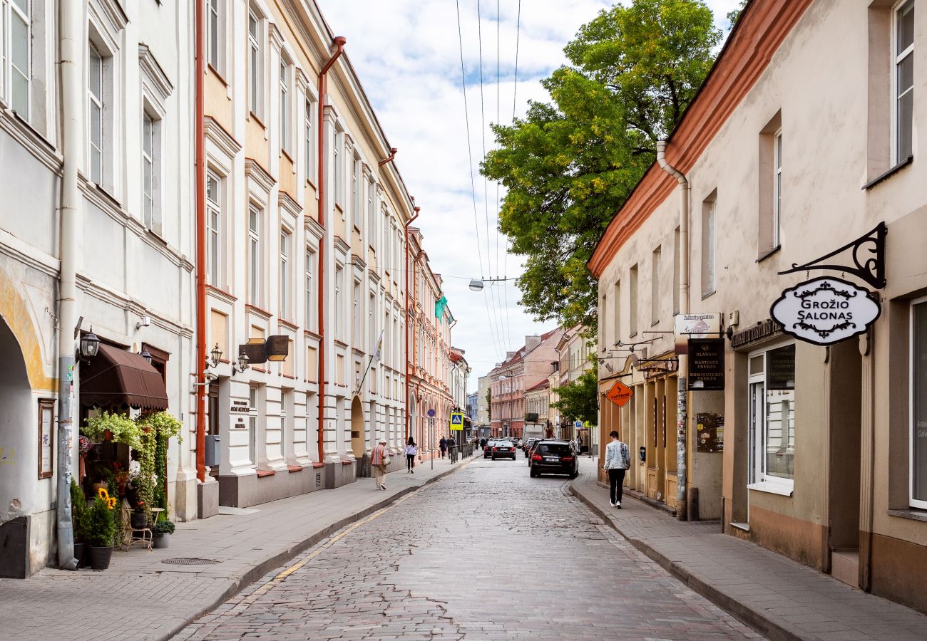 Ferienwohnung in Vilnius - Comfy 1 Bedroom Apartment