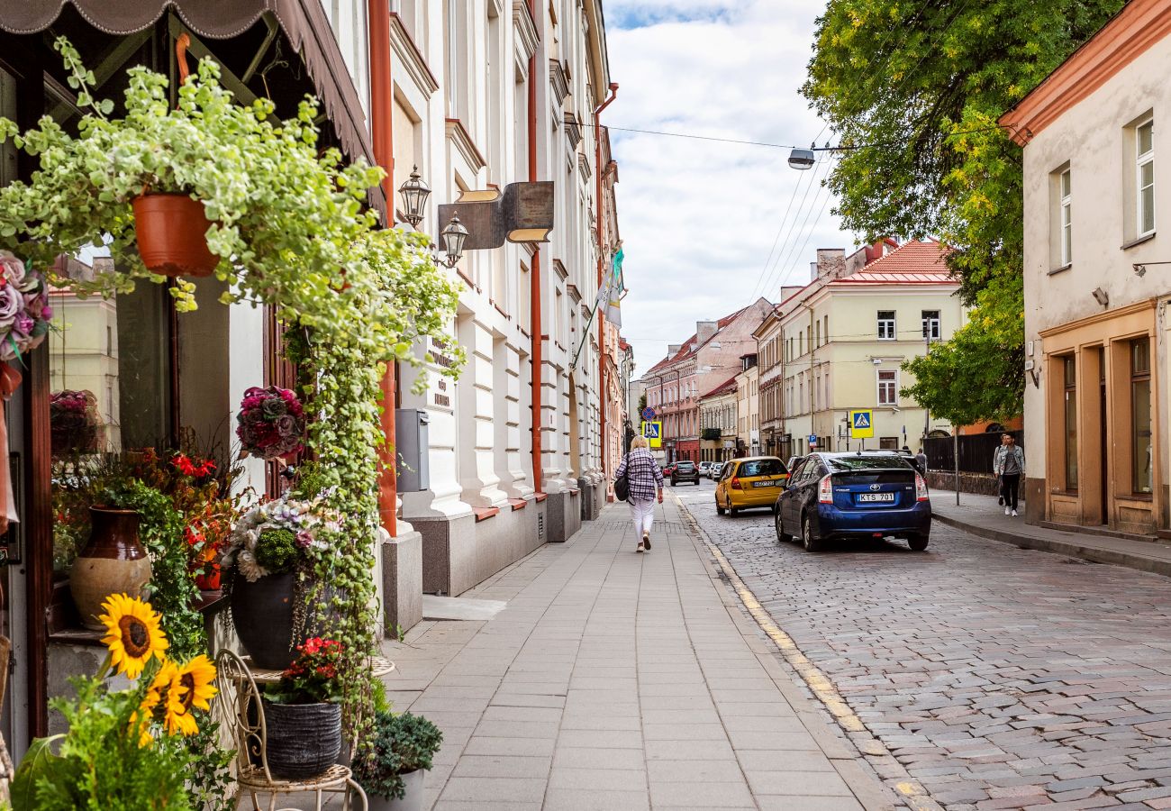 Ferienwohnung in Vilnius - Comfy 1 Bedroom Apartment