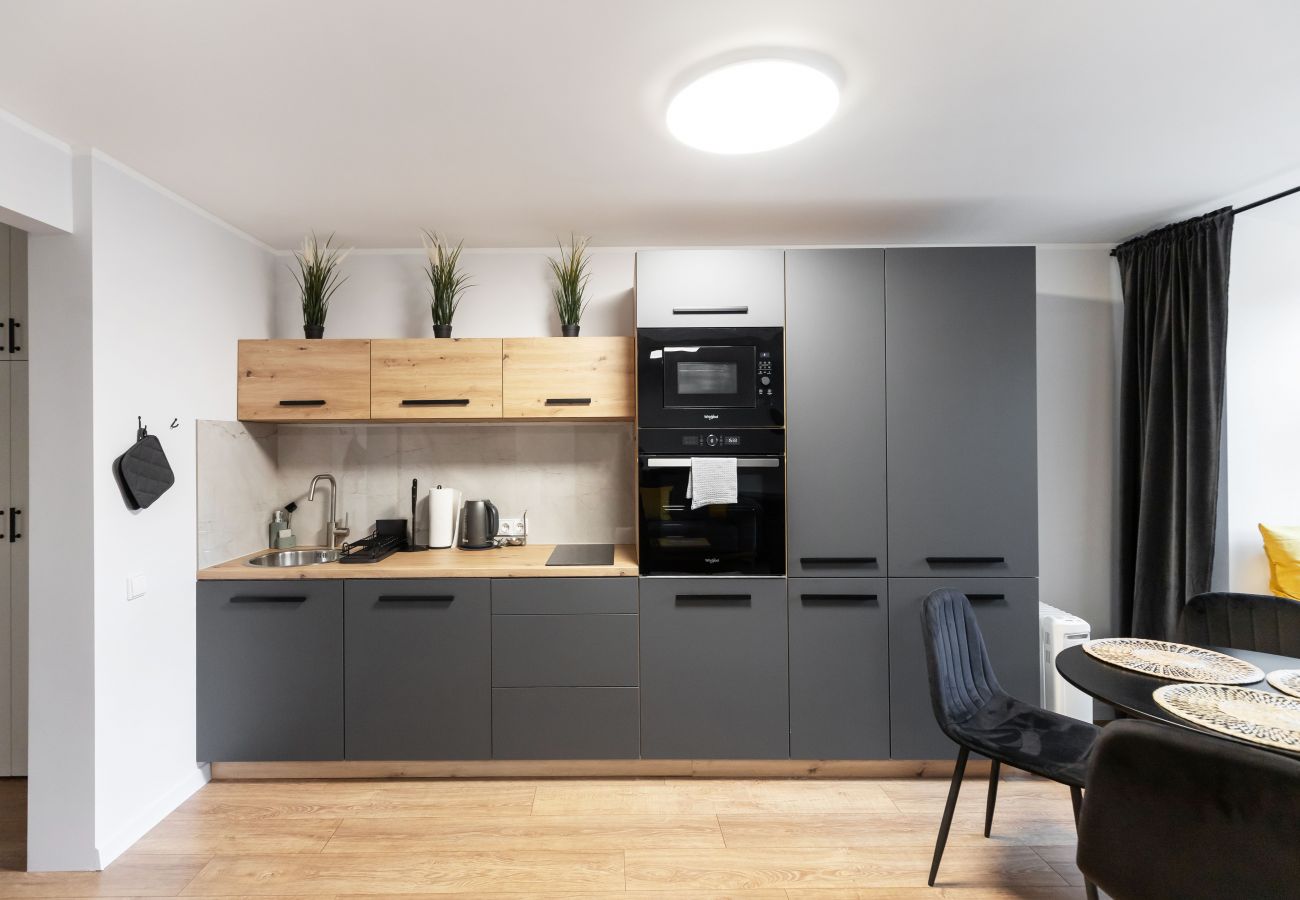 Ferienwohnung in Vilnius - Newly Refurbished Lukiskiu Square Apartment