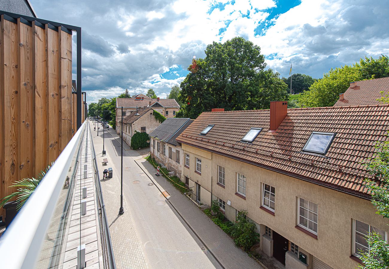 Ferienwohnung in Vilnius - Paupys Central Apartment 157