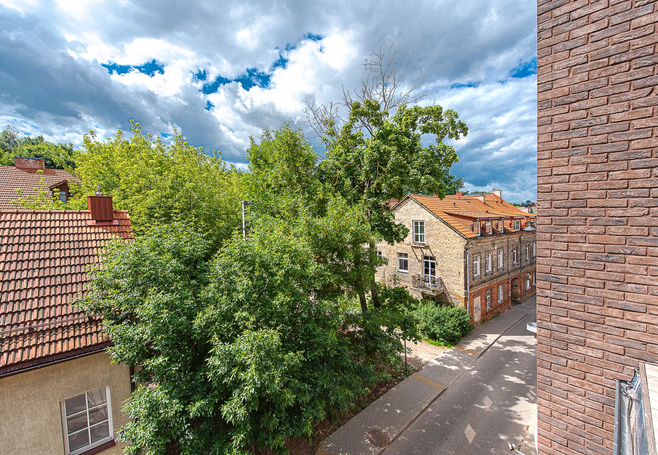 Ferienwohnung in Vilnius - Paupys Central Apartment 157