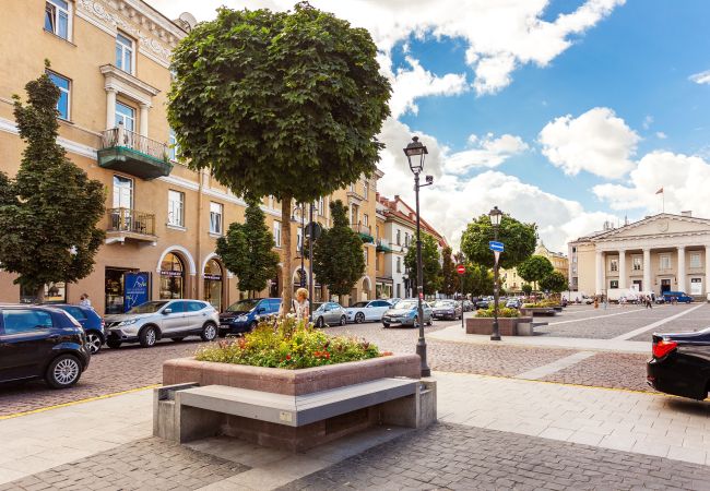 Ferienwohnung in Vilnius - Historic Bliss in Vilnius Old Town