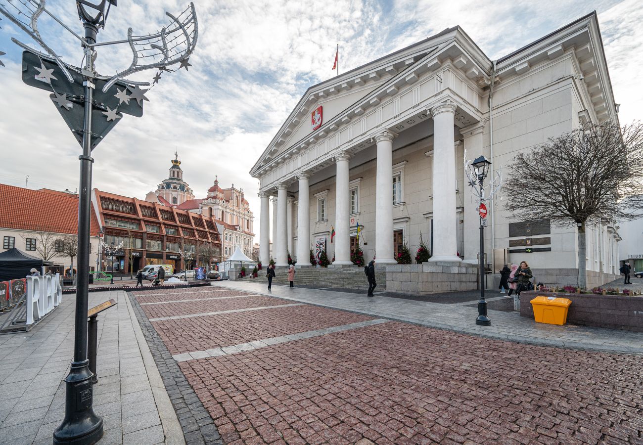 Ferienwohnung in Vilnius - Newly Furnished Vilnius Town Hall Apartment 101