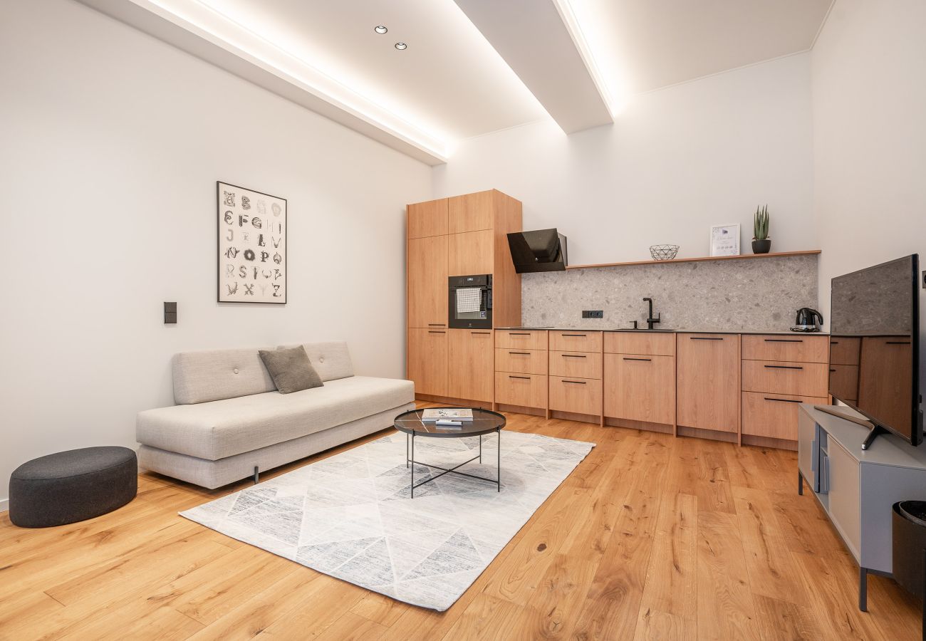 Ferienwohnung in Vilnius - Newly Furnished Vilnius Town Hall Apartment 102