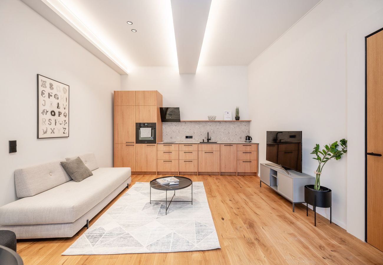 Ferienwohnung in Vilnius - Newly Furnished Vilnius Town Hall Apartment 102