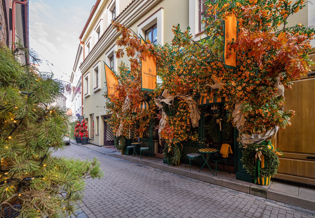 Ferienwohnung in Vilnius - Newly Furnished Vilnius Town Hall Apartment 103