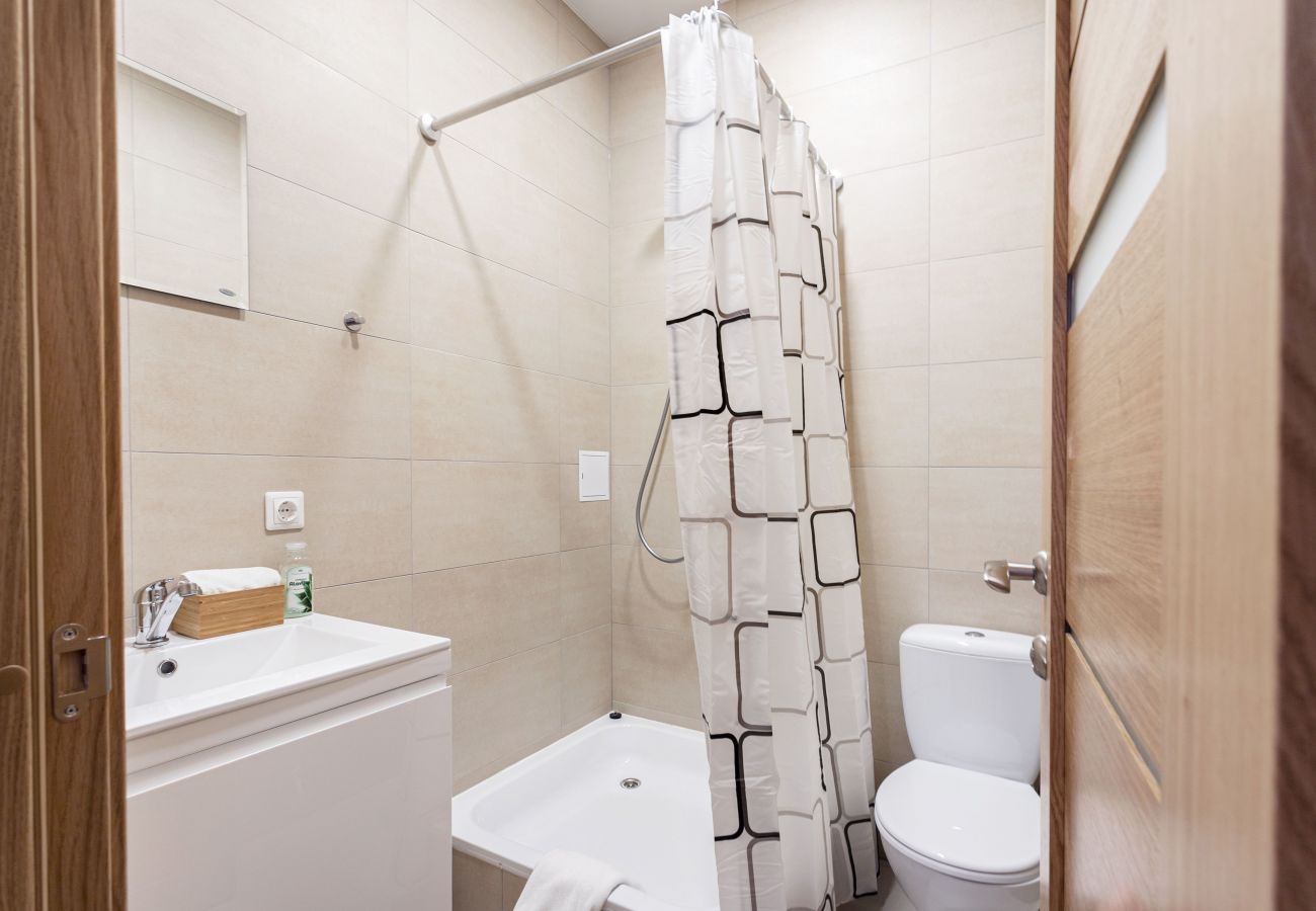 Apartament w Vilnius - Cosy 1 Bedroom 2 Bathroom Yard Apartment