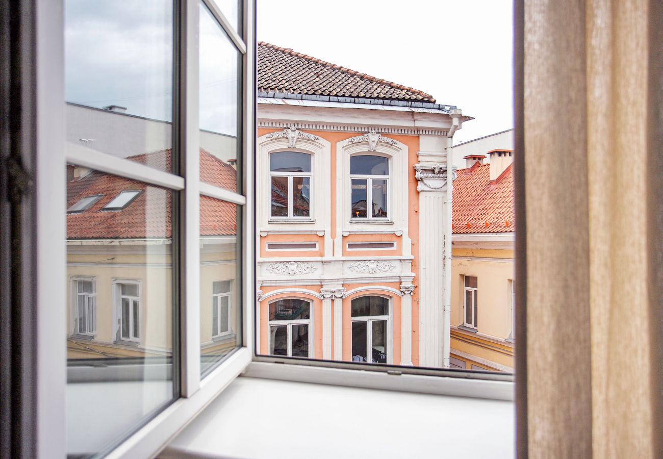 Apartament w Vilnius - Cosy and bright Saint Ignoto's Apartment