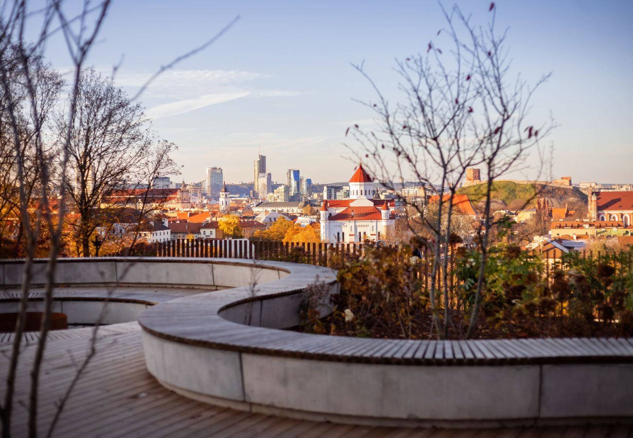 Apartament w Vilnius - Lux Apartment with a terrace in Vilnius Old Town