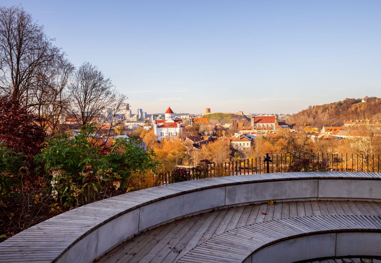 Apartament w Vilnius - Lux Apartment with a terrace in Vilnius Old Town