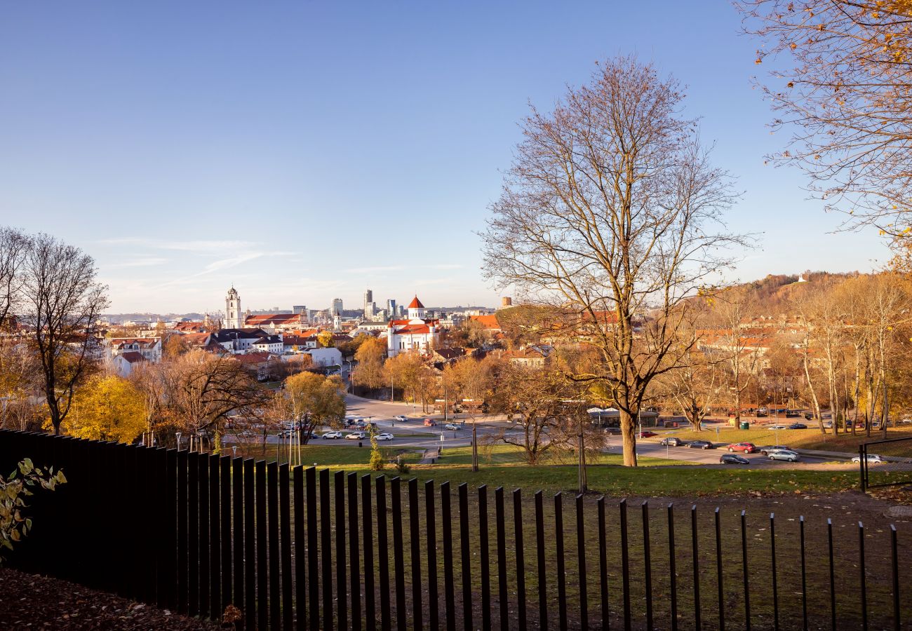 Apartament w Vilnius - Lux Apartment with a terrace in Vilnius Old Town