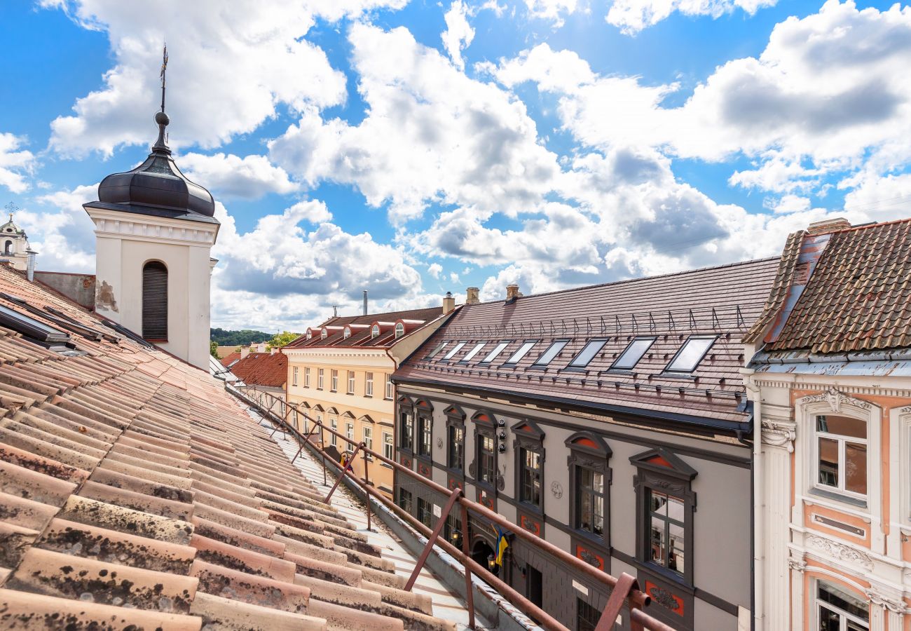 Apartament w Vilnius - Gediminas Towen View Apartment in Vilnius Old Town